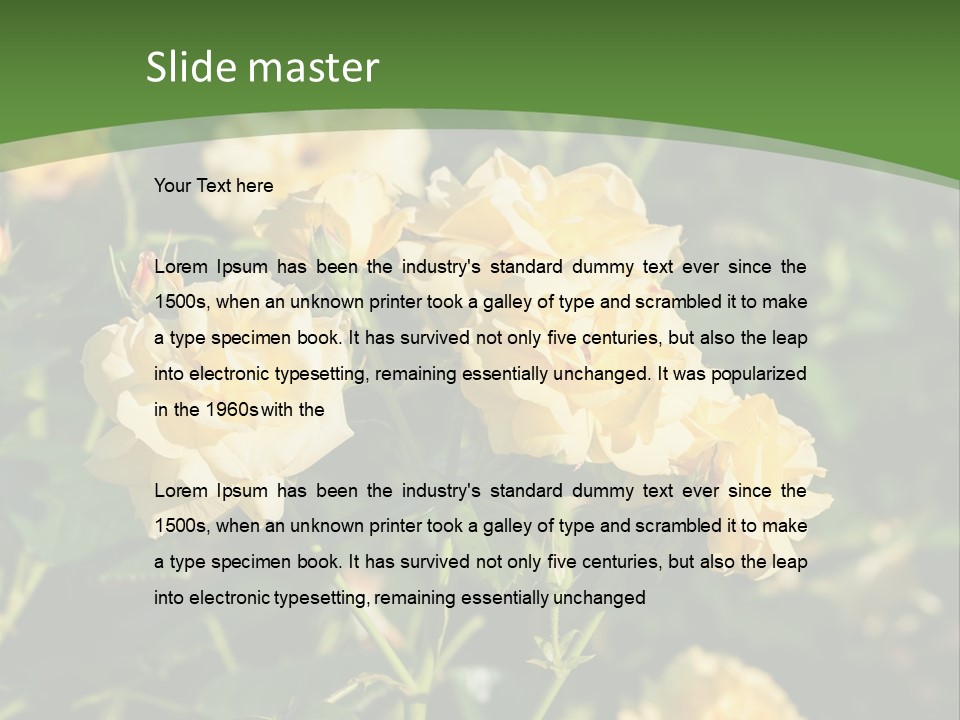 A Yellow Rose Powerpoint Presentation Is Shown PowerPoint Template