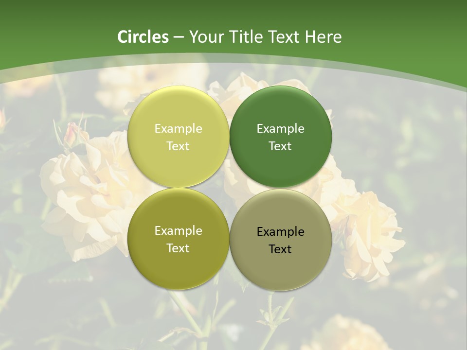 A Yellow Rose Powerpoint Presentation Is Shown PowerPoint Template