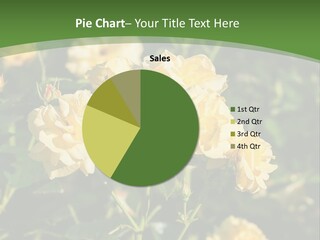 A Yellow Rose Powerpoint Presentation Is Shown PowerPoint Template
