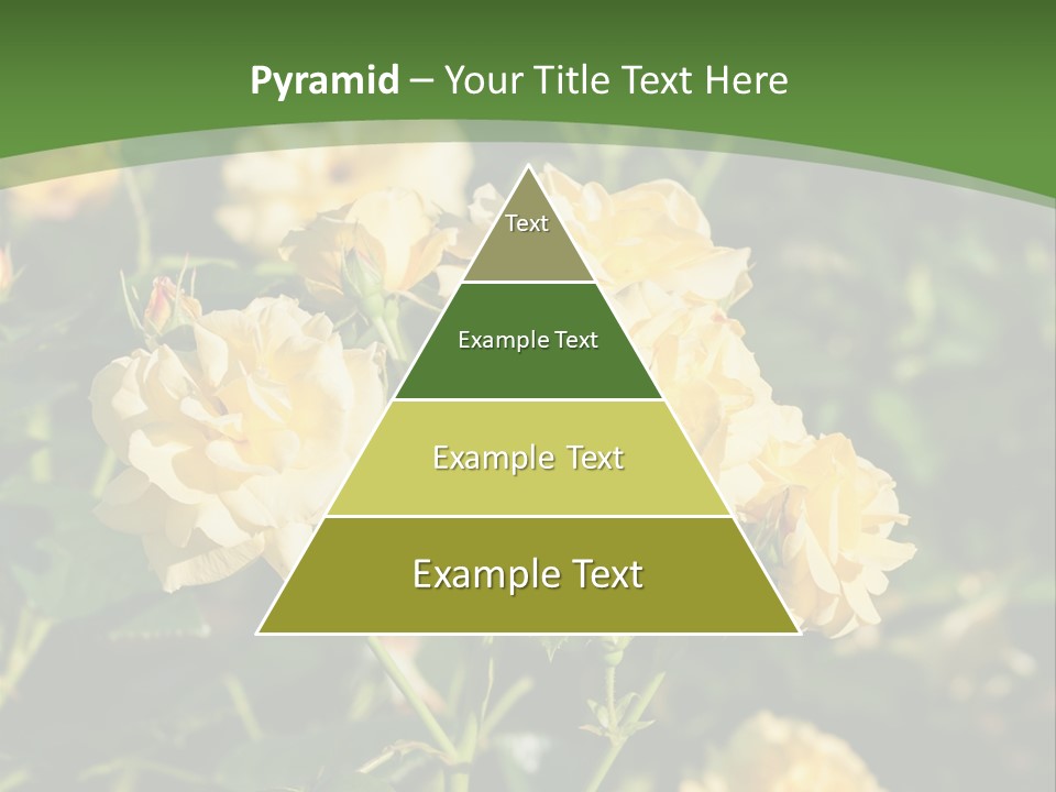 A Yellow Rose Powerpoint Presentation Is Shown PowerPoint Template