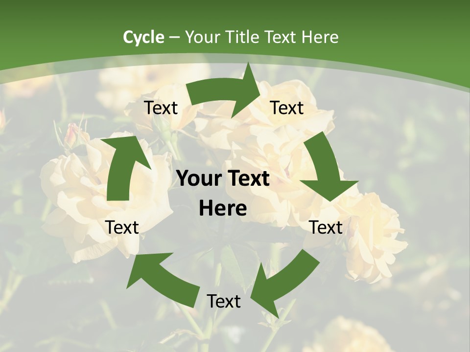 A Yellow Rose Powerpoint Presentation Is Shown PowerPoint Template
