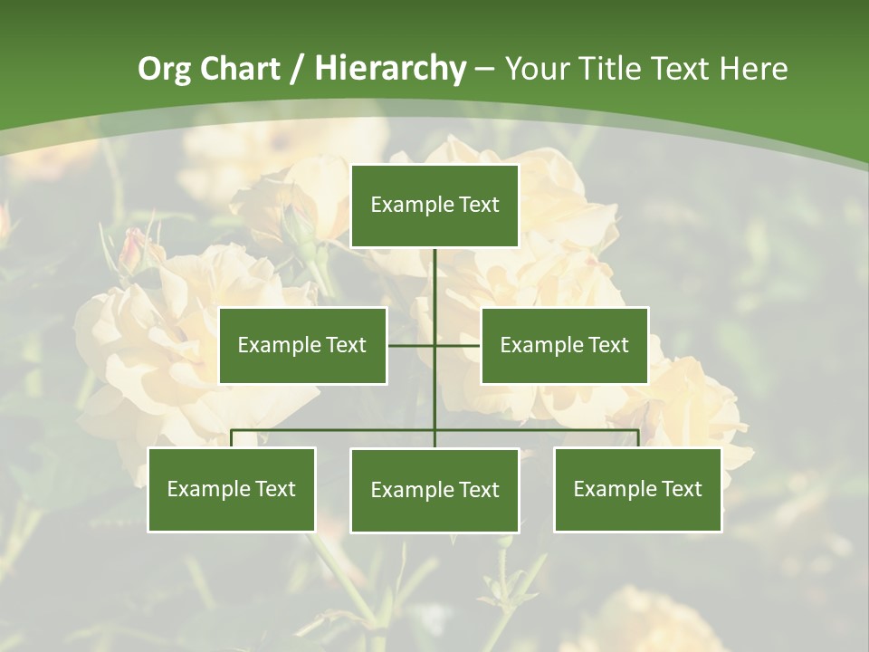A Yellow Rose Powerpoint Presentation Is Shown PowerPoint Template