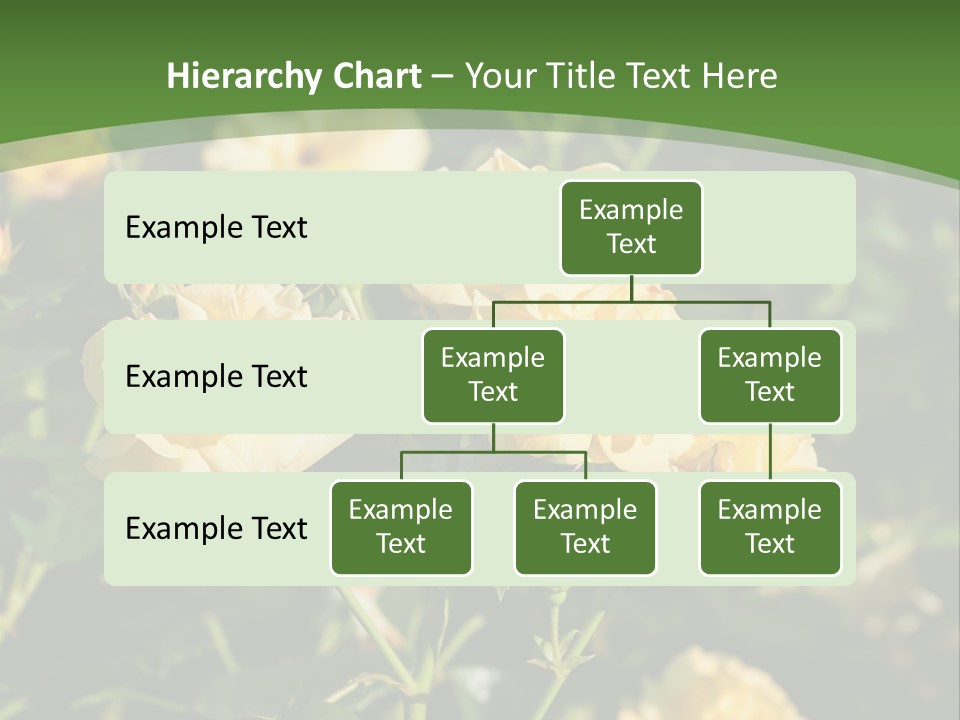 A Yellow Rose Powerpoint Presentation Is Shown PowerPoint Template
