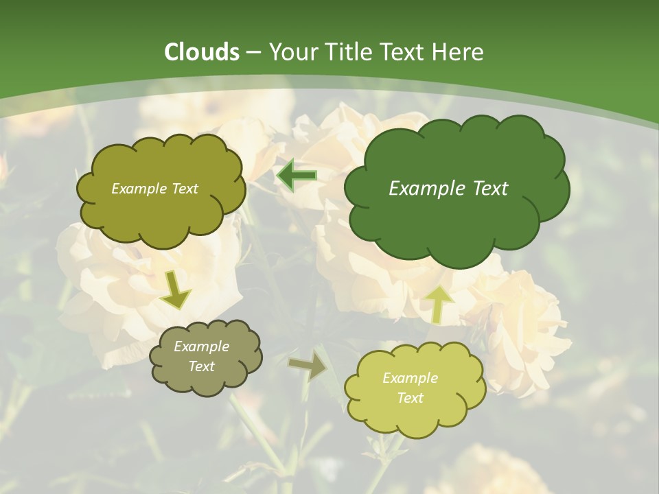 A Yellow Rose Powerpoint Presentation Is Shown PowerPoint Template