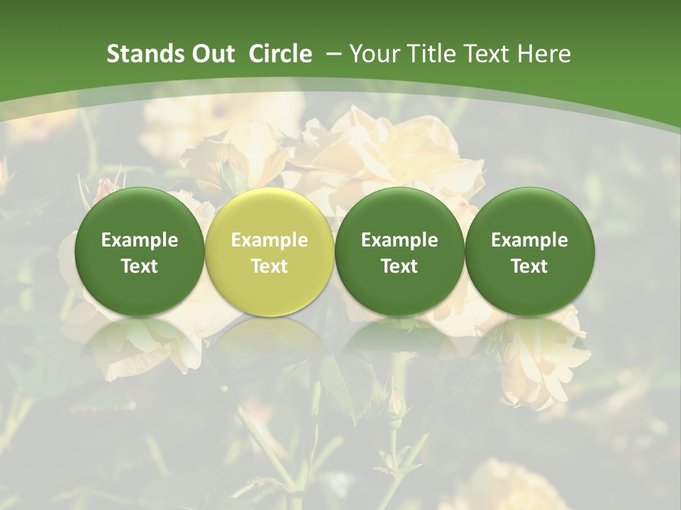 A Yellow Rose Powerpoint Presentation Is Shown PowerPoint Template