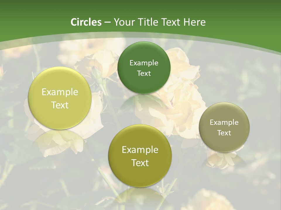 A Yellow Rose Powerpoint Presentation Is Shown PowerPoint Template