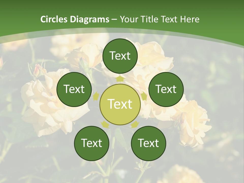 A Yellow Rose Powerpoint Presentation Is Shown PowerPoint Template