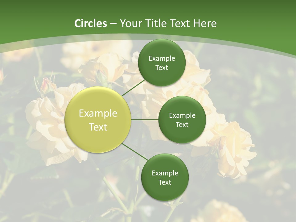 A Yellow Rose Powerpoint Presentation Is Shown PowerPoint Template