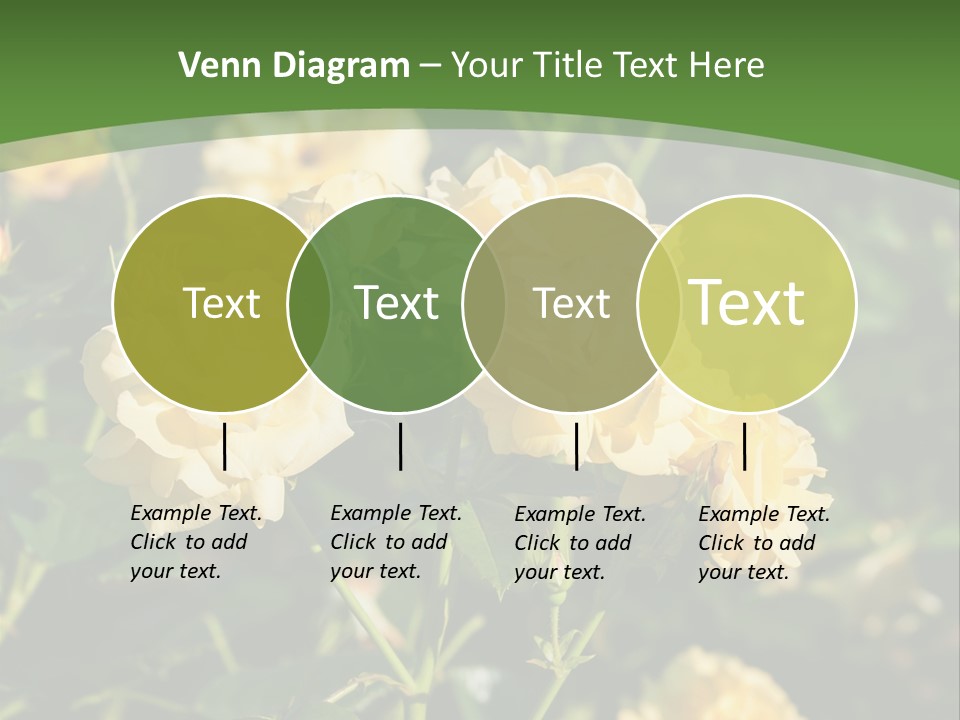 A Yellow Rose Powerpoint Presentation Is Shown PowerPoint Template