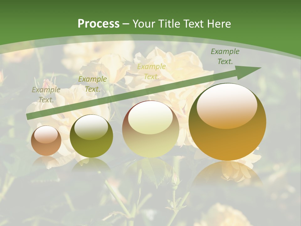 A Yellow Rose Powerpoint Presentation Is Shown PowerPoint Template