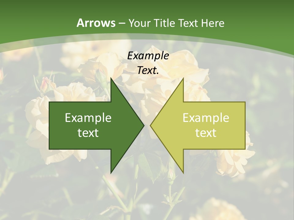 A Yellow Rose Powerpoint Presentation Is Shown PowerPoint Template
