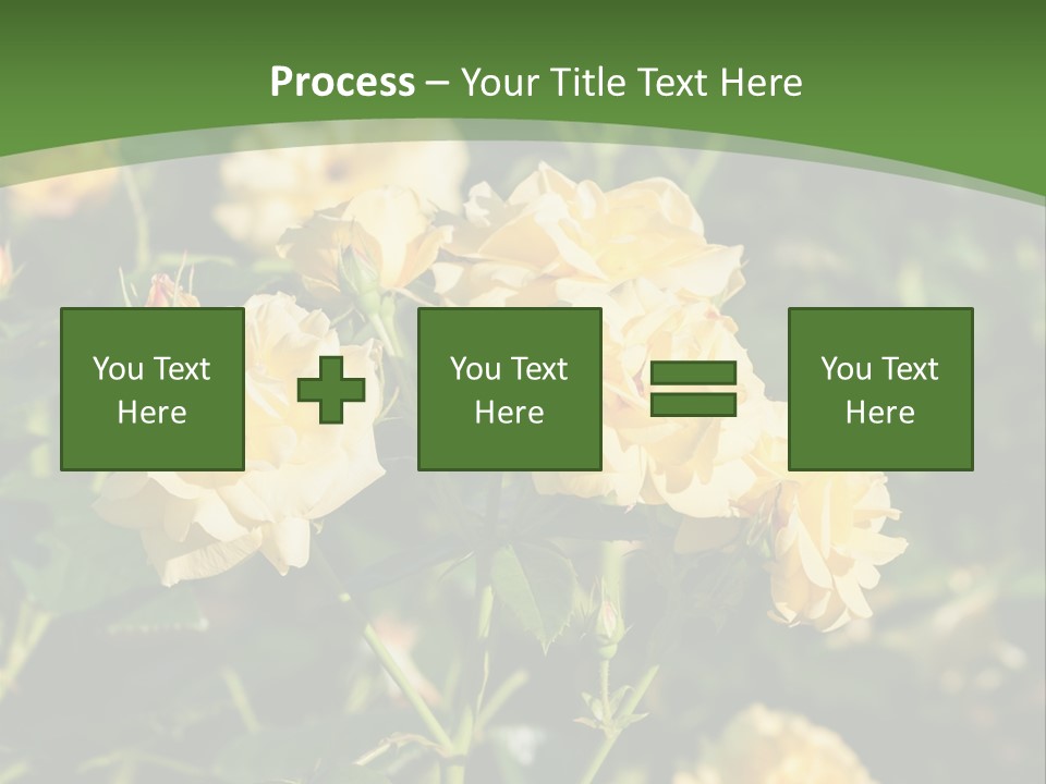 A Yellow Rose Powerpoint Presentation Is Shown PowerPoint Template