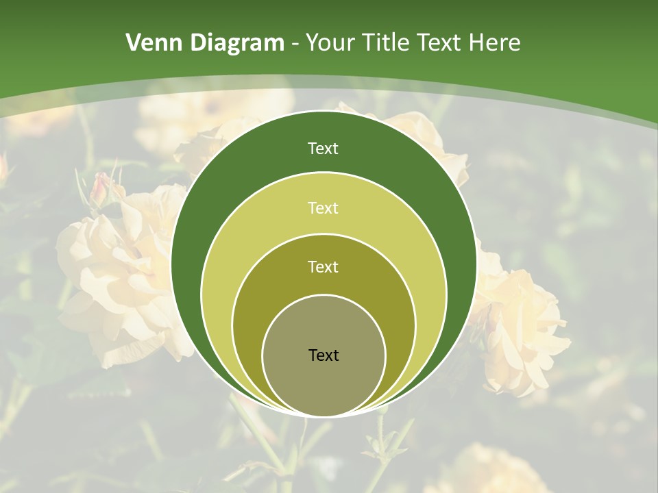 A Yellow Rose Powerpoint Presentation Is Shown PowerPoint Template