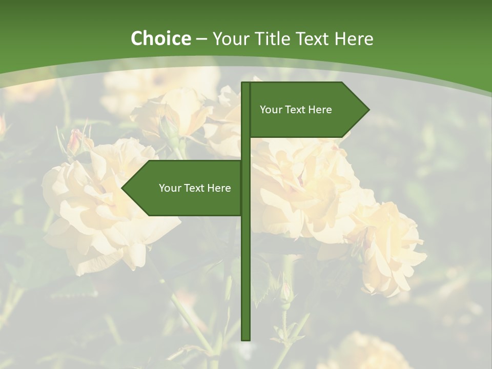 A Yellow Rose Powerpoint Presentation Is Shown PowerPoint Template