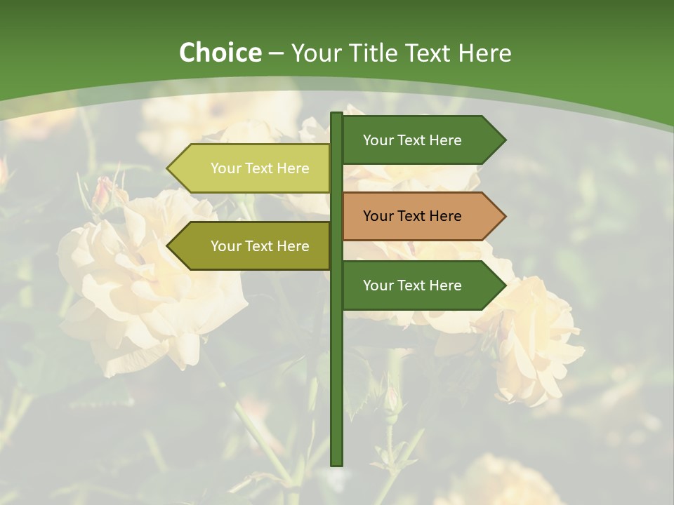 A Yellow Rose Powerpoint Presentation Is Shown PowerPoint Template