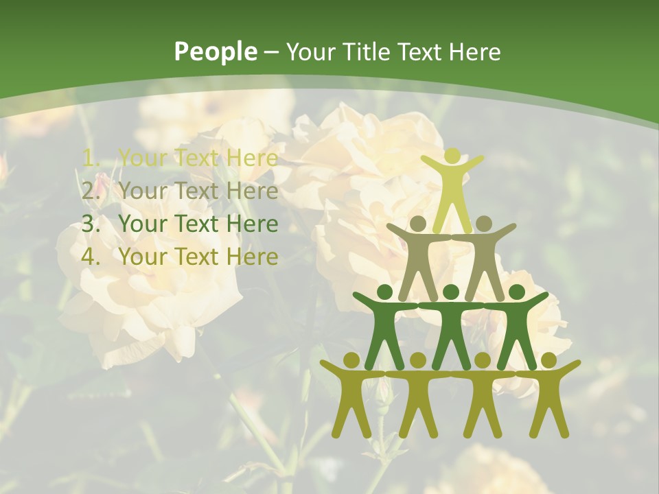 A Yellow Rose Powerpoint Presentation Is Shown PowerPoint Template