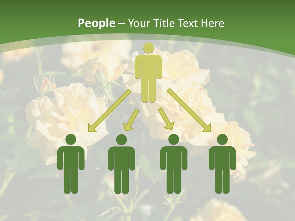 A Yellow Rose Powerpoint Presentation Is Shown PowerPoint Template