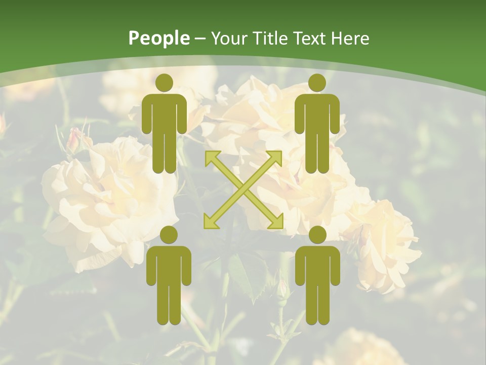 A Yellow Rose Powerpoint Presentation Is Shown PowerPoint Template