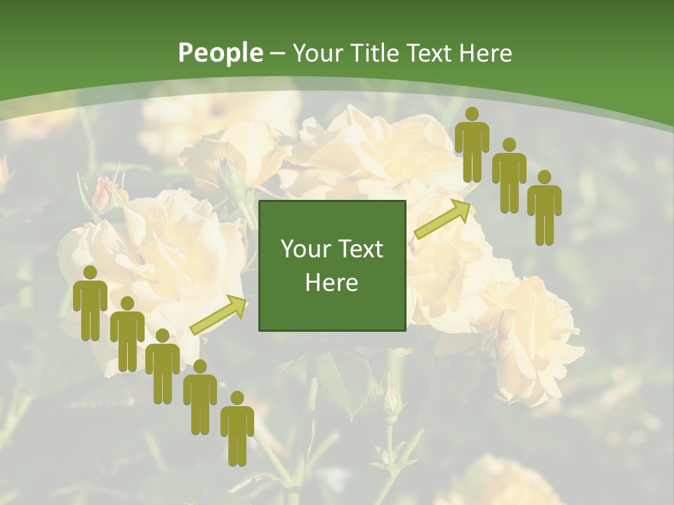 A Yellow Rose Powerpoint Presentation Is Shown PowerPoint Template
