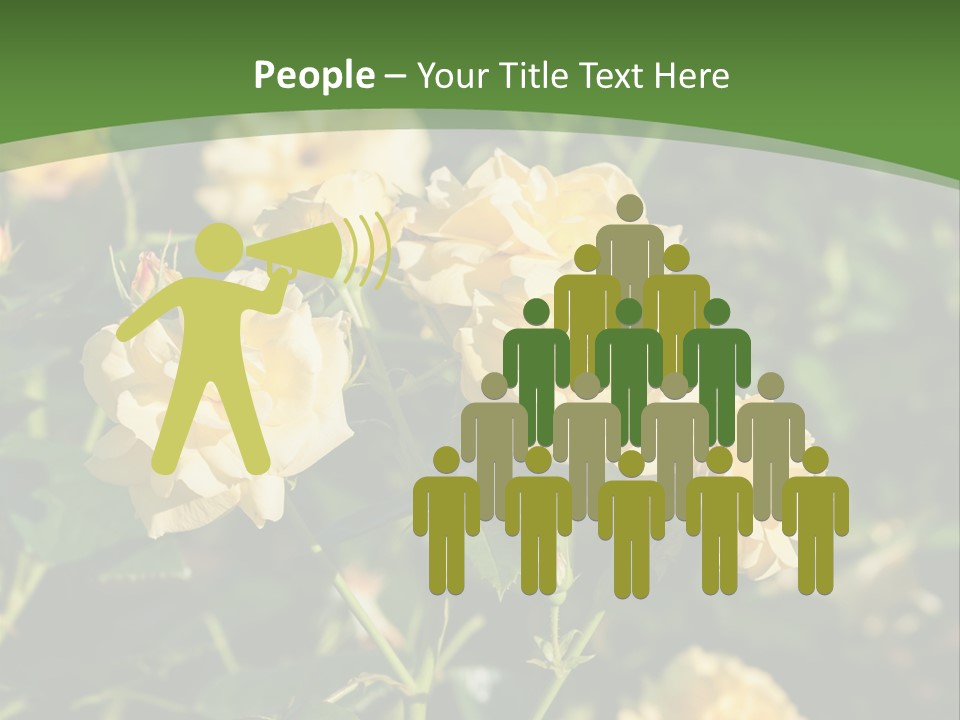 A Yellow Rose Powerpoint Presentation Is Shown PowerPoint Template