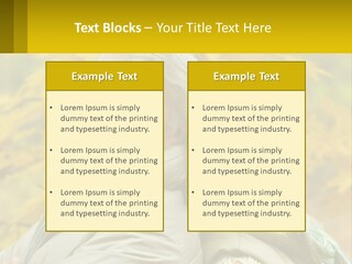 A Man And Woman Are Smiling For The Camera PowerPoint Template