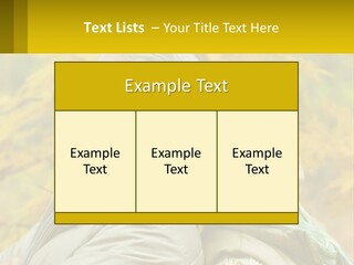 A Man And Woman Are Smiling For The Camera PowerPoint Template
