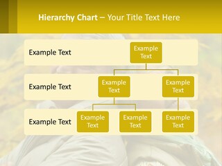 A Man And Woman Are Smiling For The Camera PowerPoint Template