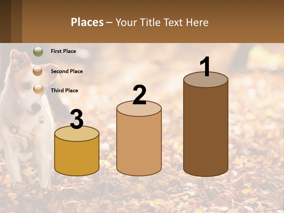 A Small Dog Is Standing In The Leaves PowerPoint Template