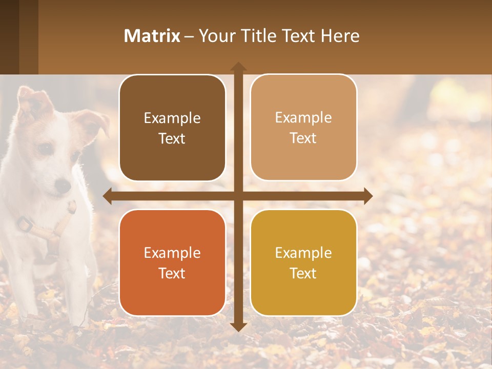 A Small Dog Is Standing In The Leaves PowerPoint Template