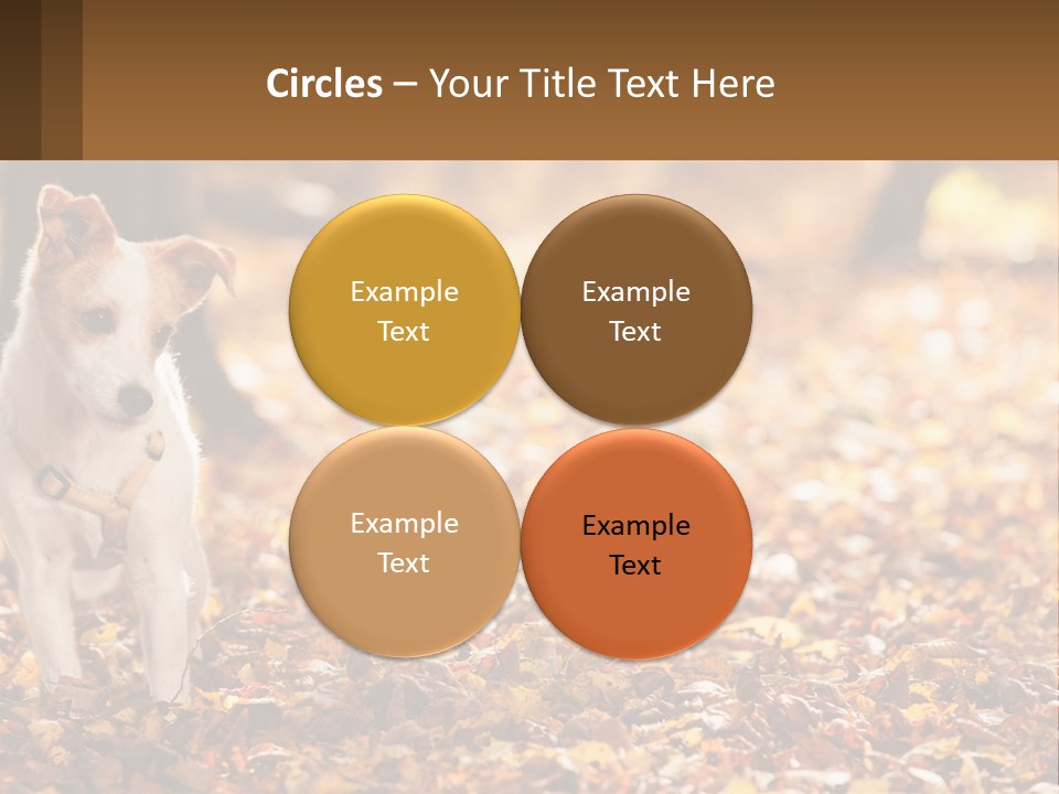 A Small Dog Is Standing In The Leaves PowerPoint Template
