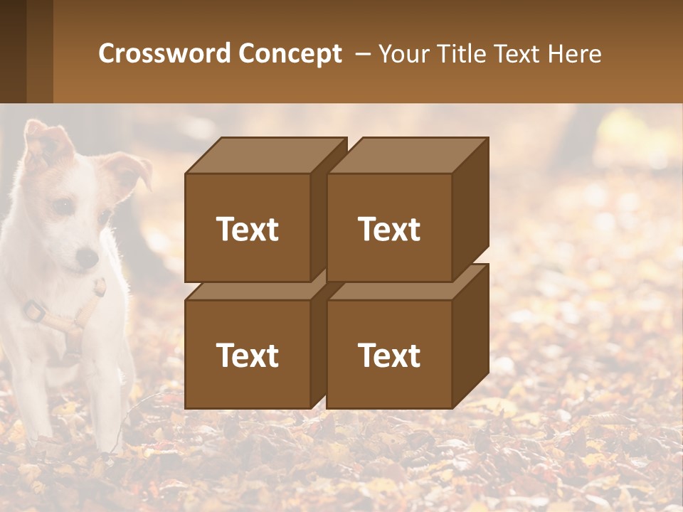 A Small Dog Is Standing In The Leaves PowerPoint Template