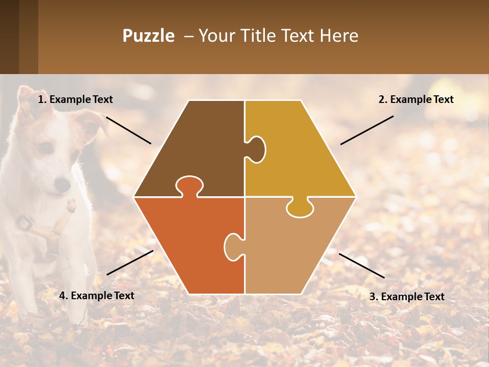 A Small Dog Is Standing In The Leaves PowerPoint Template