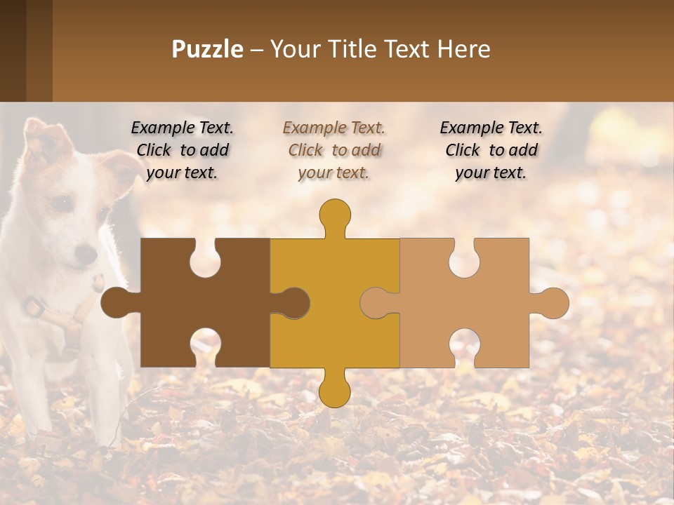 A Small Dog Is Standing In The Leaves PowerPoint Template