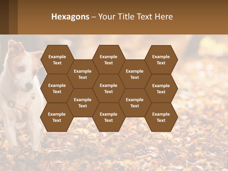 A Small Dog Is Standing In The Leaves PowerPoint Template