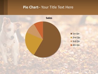 A Small Dog Is Standing In The Leaves PowerPoint Template