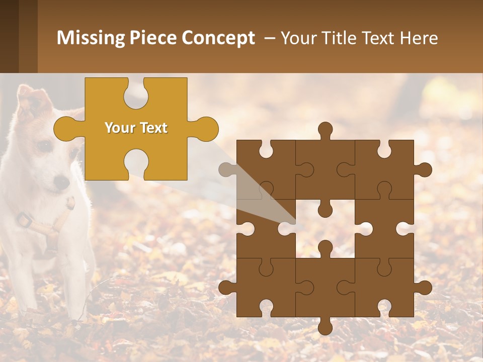 A Small Dog Is Standing In The Leaves PowerPoint Template