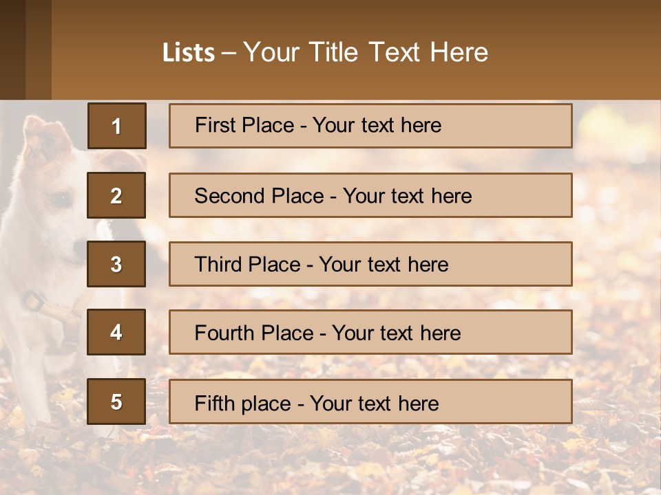 A Small Dog Is Standing In The Leaves PowerPoint Template