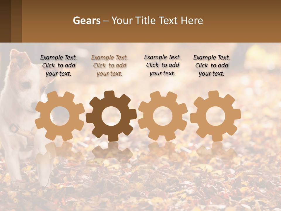 A Small Dog Is Standing In The Leaves PowerPoint Template