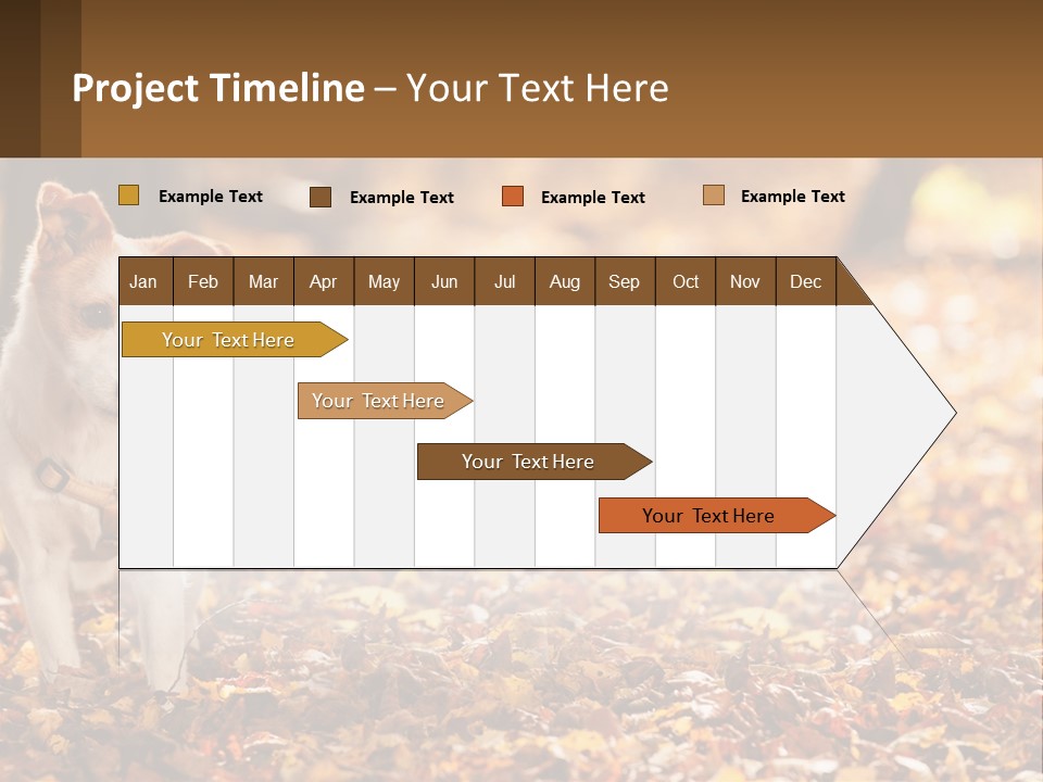 A Small Dog Is Standing In The Leaves PowerPoint Template