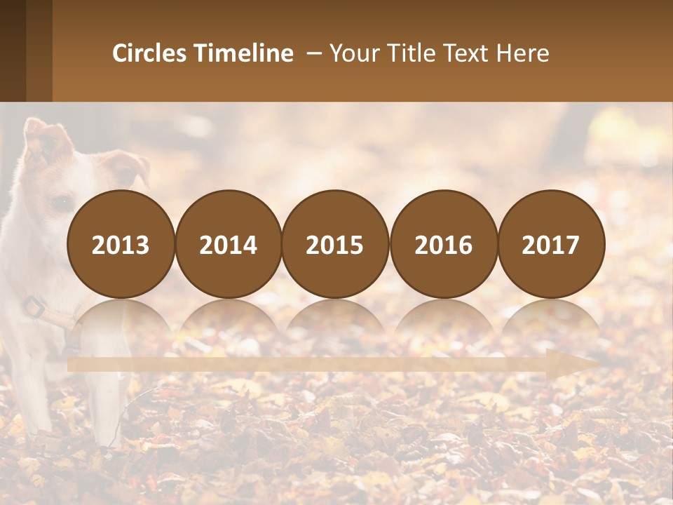 A Small Dog Is Standing In The Leaves PowerPoint Template