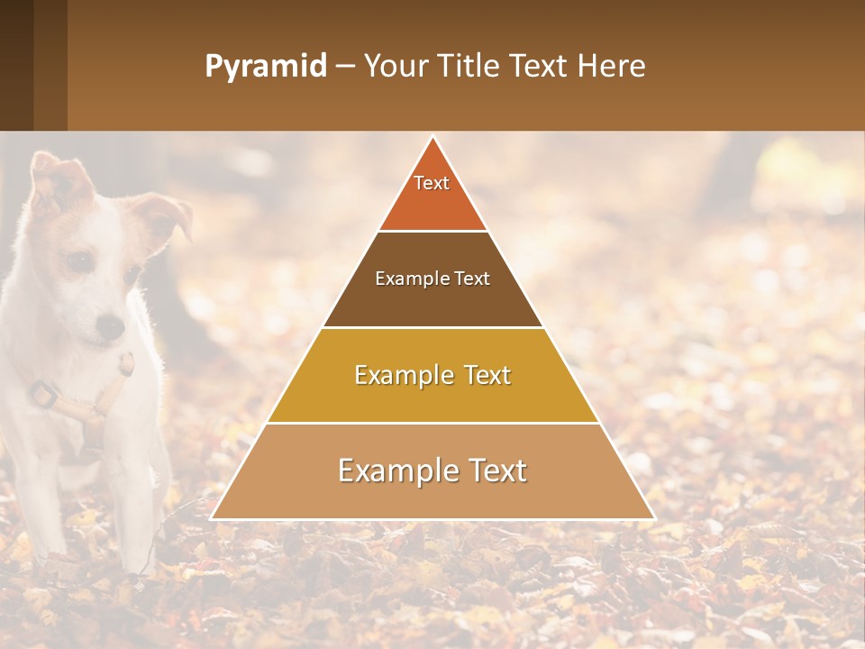 A Small Dog Is Standing In The Leaves PowerPoint Template