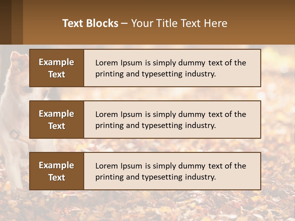 A Small Dog Is Standing In The Leaves PowerPoint Template
