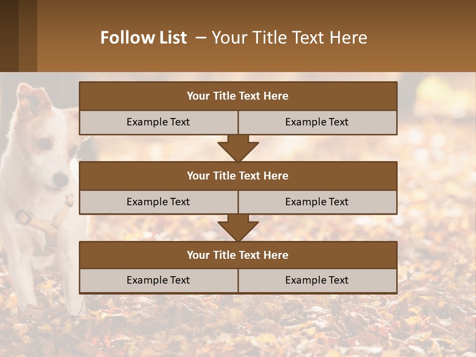 A Small Dog Is Standing In The Leaves PowerPoint Template