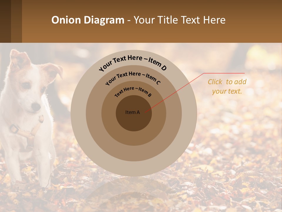 A Small Dog Is Standing In The Leaves PowerPoint Template