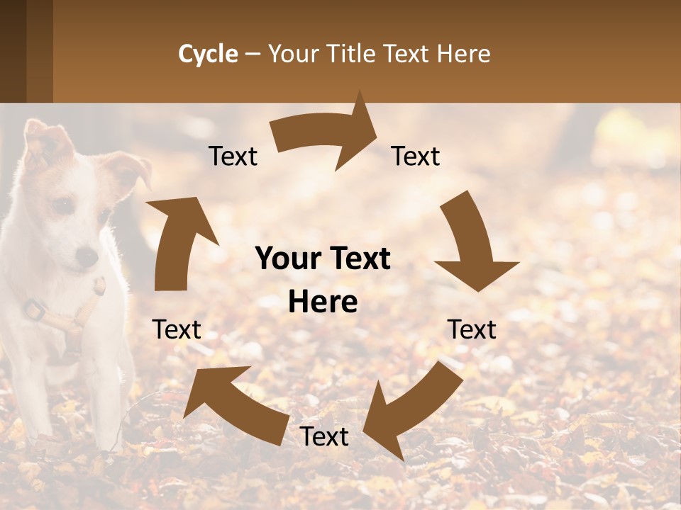A Small Dog Is Standing In The Leaves PowerPoint Template