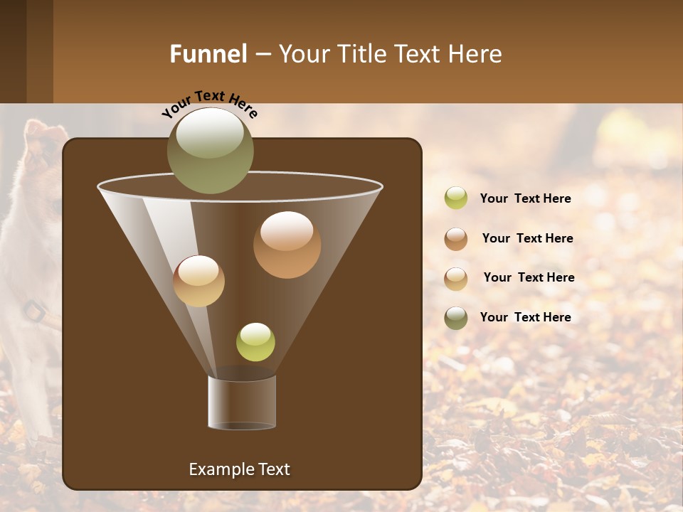 A Small Dog Is Standing In The Leaves PowerPoint Template