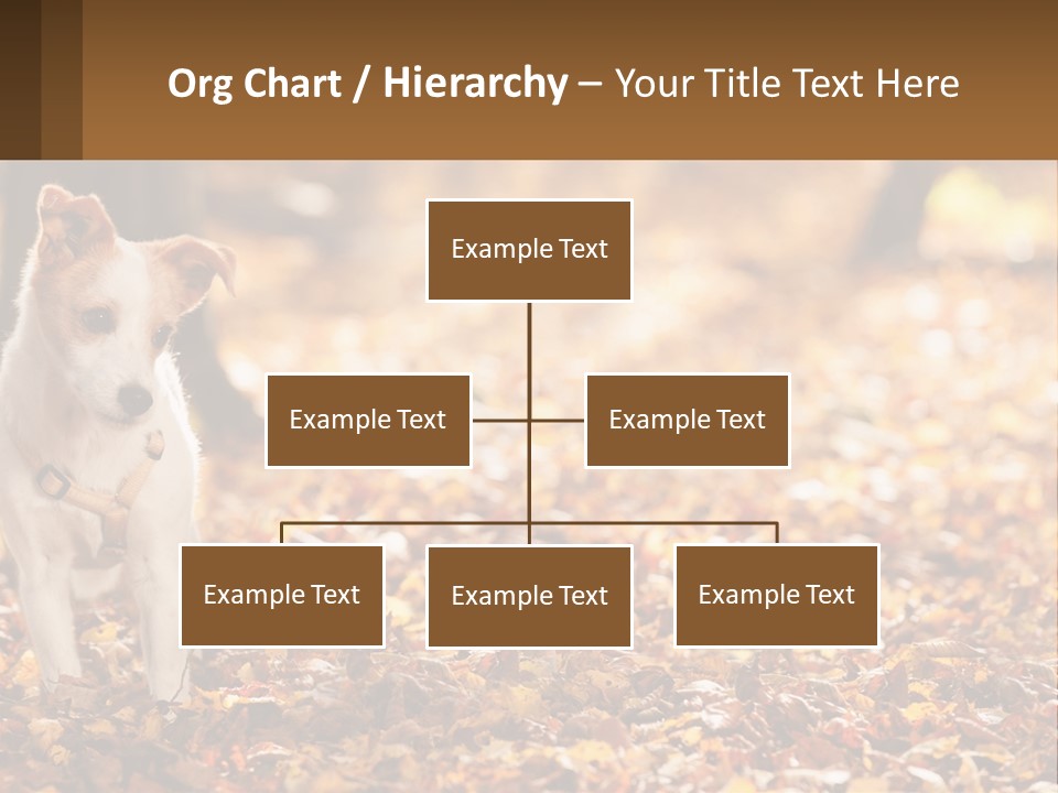 A Small Dog Is Standing In The Leaves PowerPoint Template