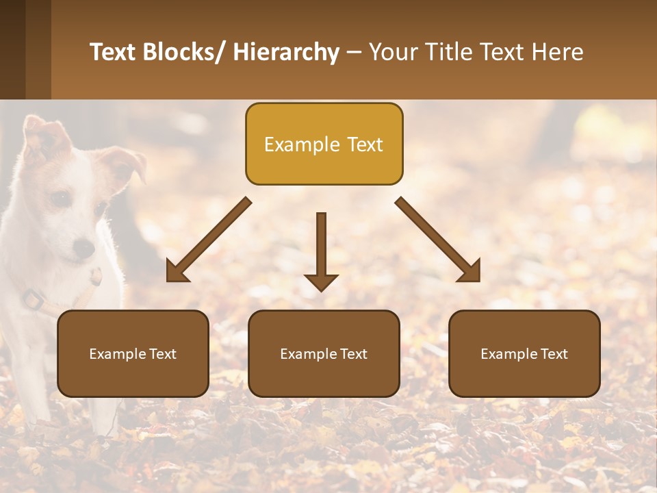 A Small Dog Is Standing In The Leaves PowerPoint Template