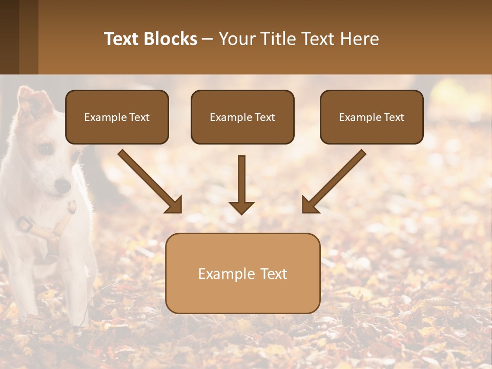 A Small Dog Is Standing In The Leaves PowerPoint Template