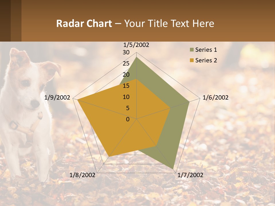 A Small Dog Is Standing In The Leaves PowerPoint Template